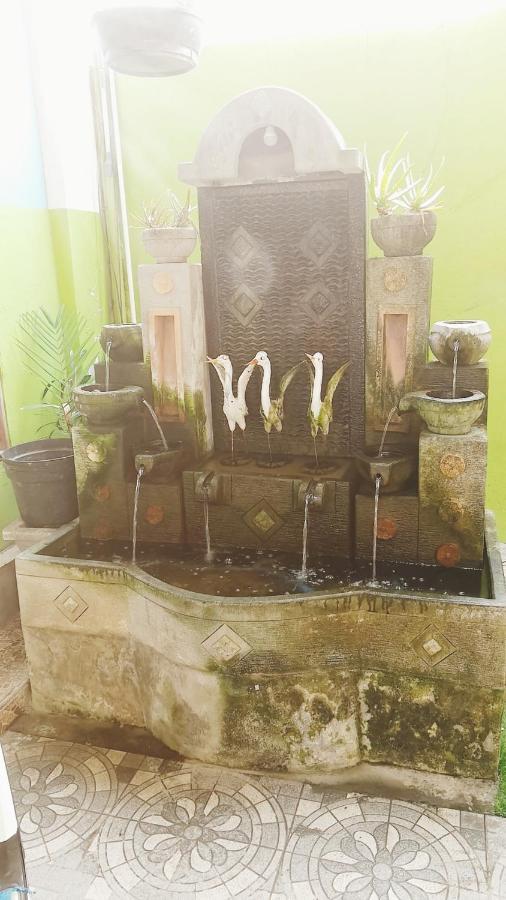 Bali Dd Homestay Seminyak Eksteriør bilde