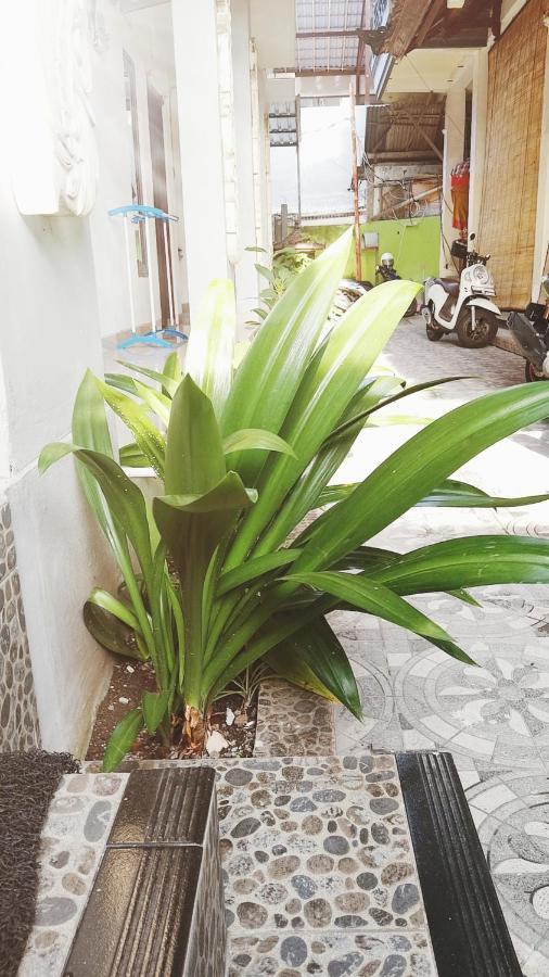 Bali Dd Homestay Seminyak Eksteriør bilde
